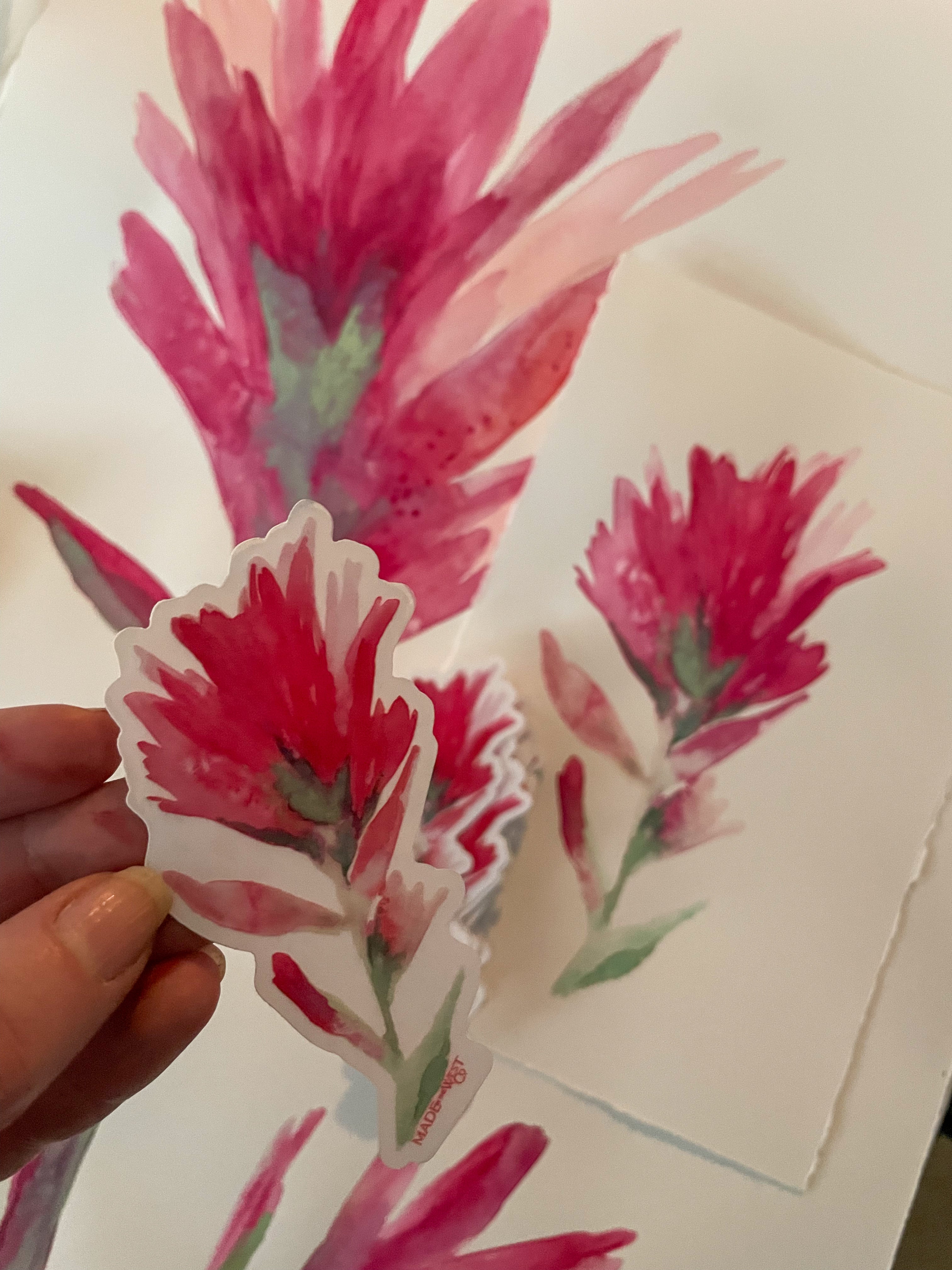Pink Watercolor Indian Paintbrush Sticker