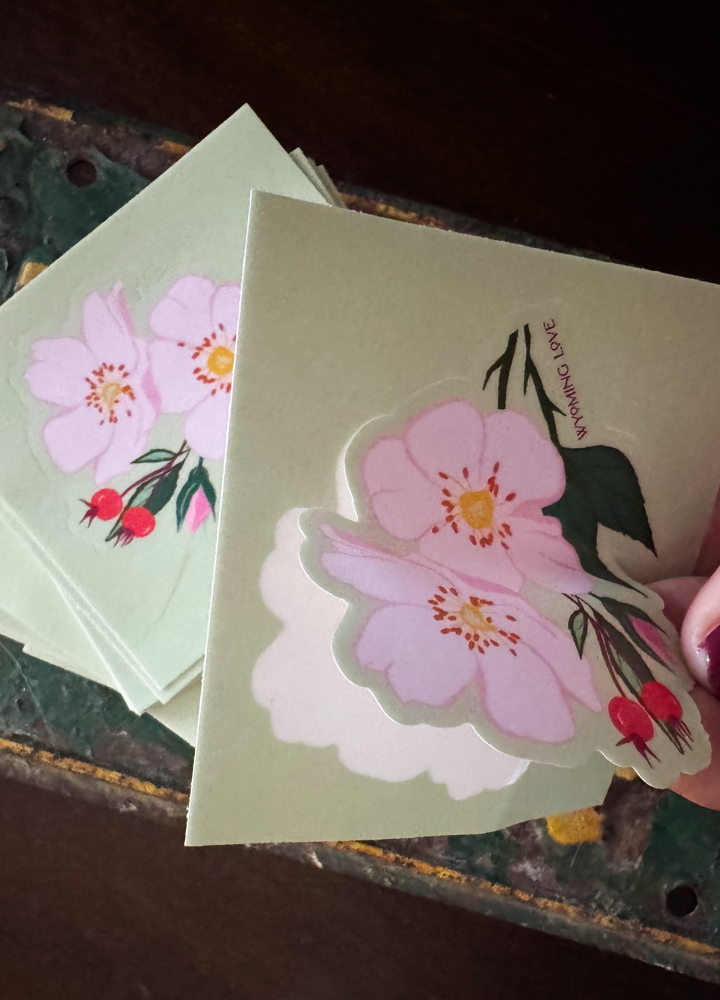 Wild Rose Sticker