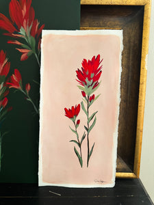 Original Indian Paintbrush Painting - Blush