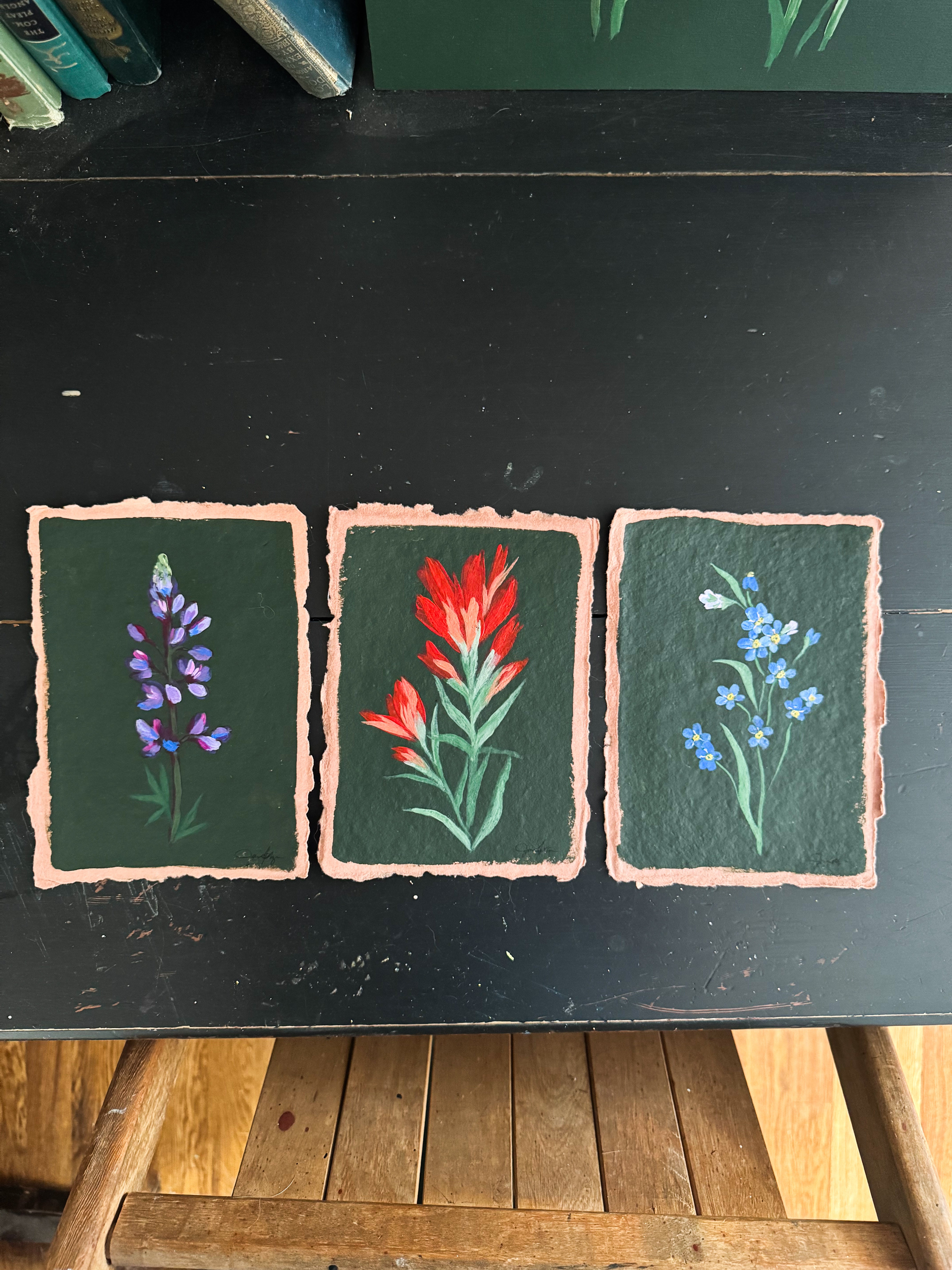 Original Hand Painted Wildflower Collection