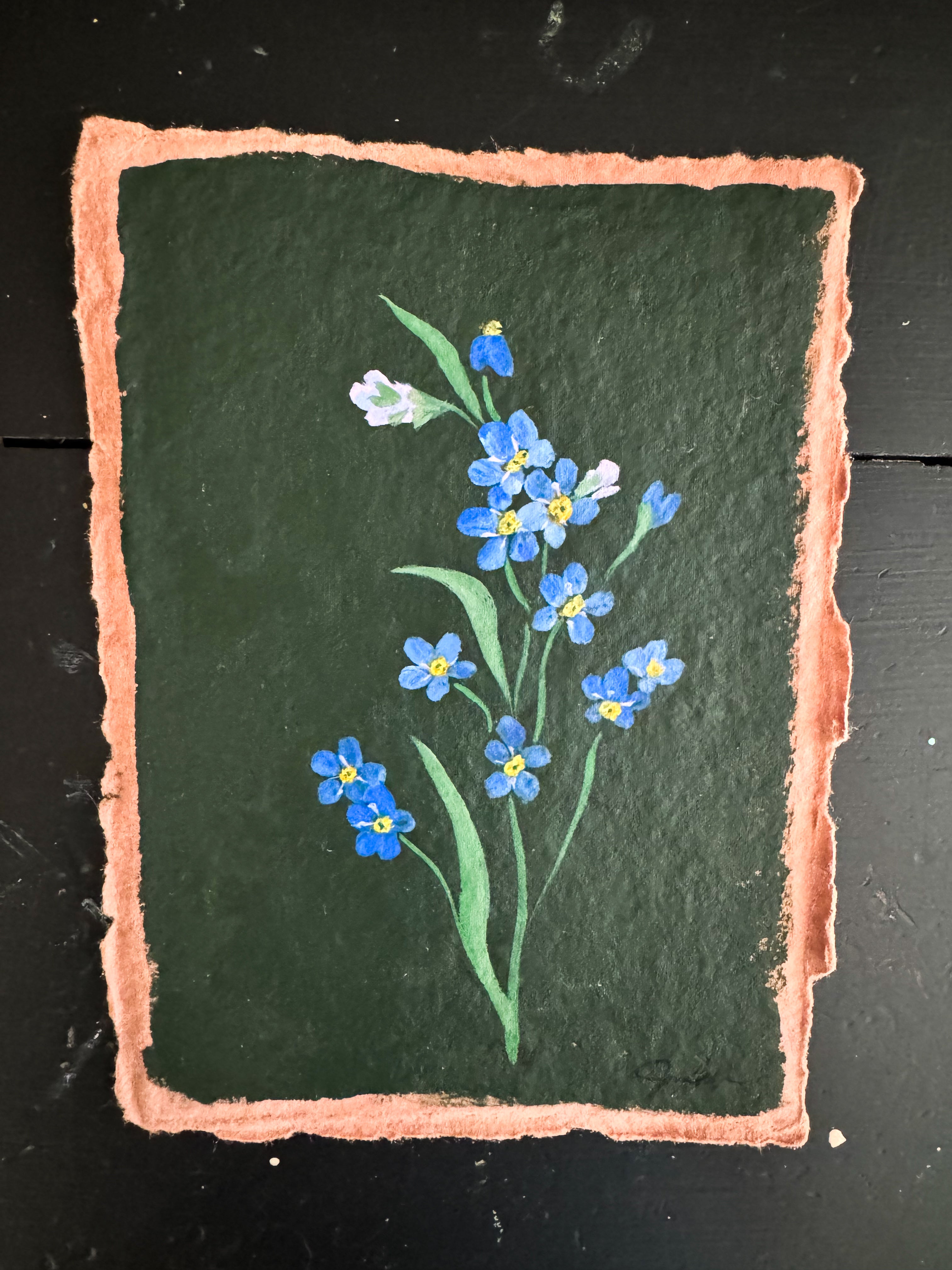 Original Hand Painted Wildflower Collection
