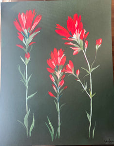 Original Indian Paintbrush Painting