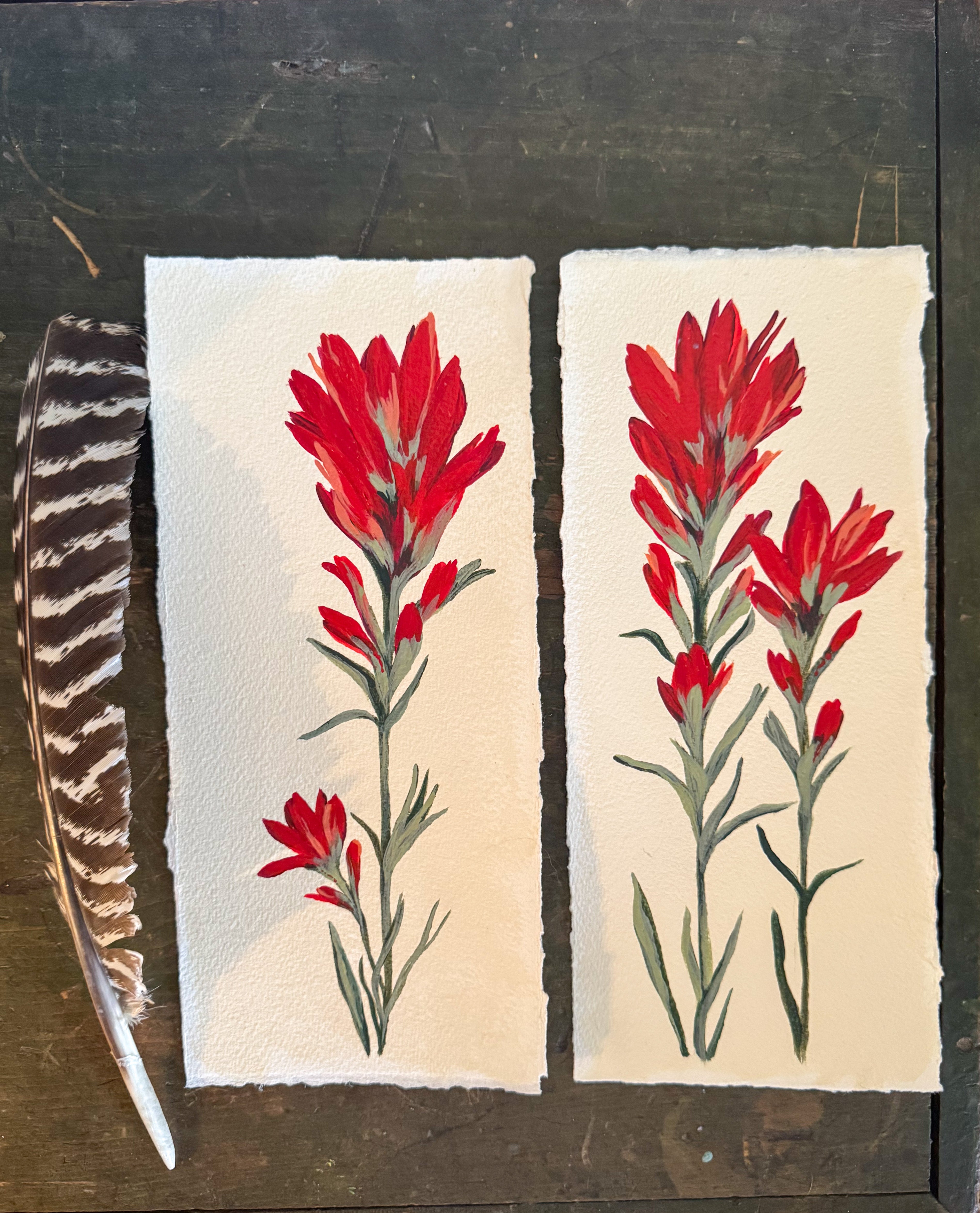 Set of two Indian Paintbrush - Acrylic