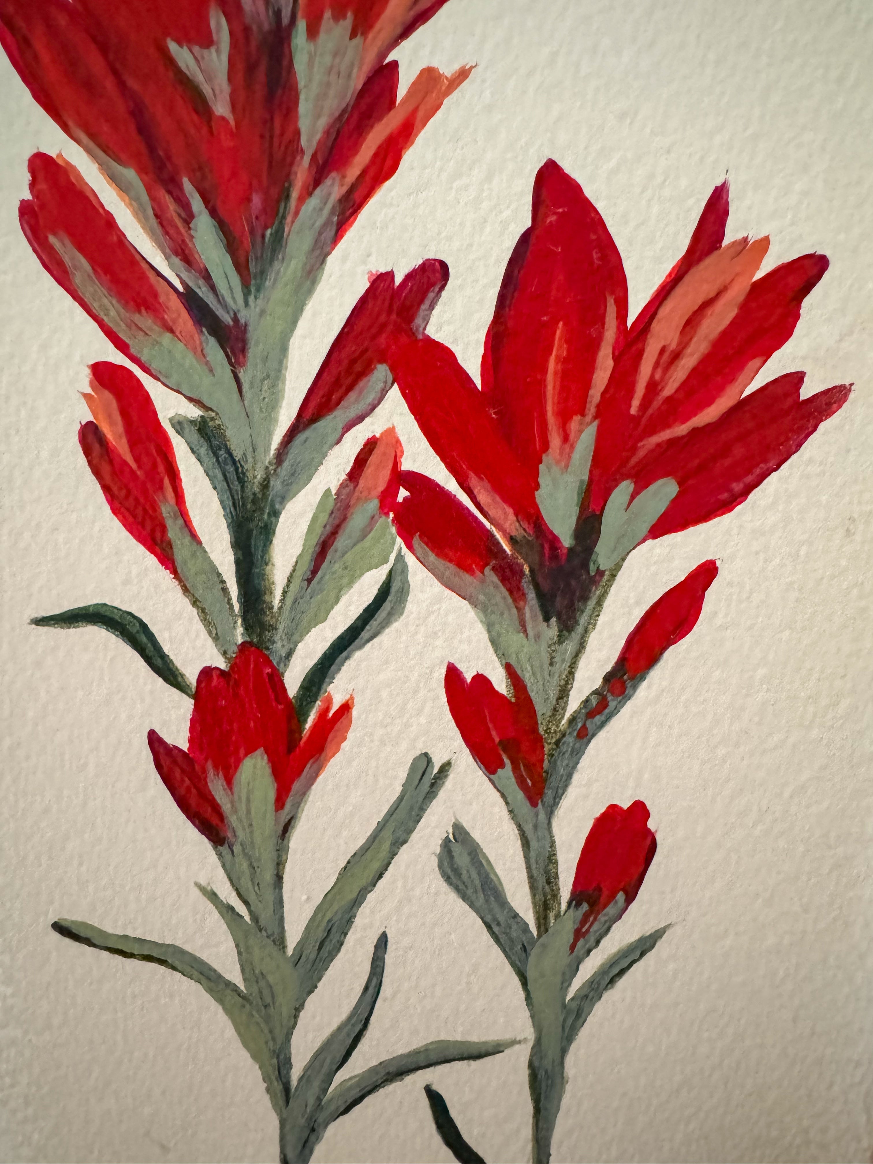 Set of two Indian Paintbrush - Acrylic