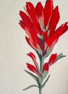 Set of two Indian Paintbrush - Acrylic