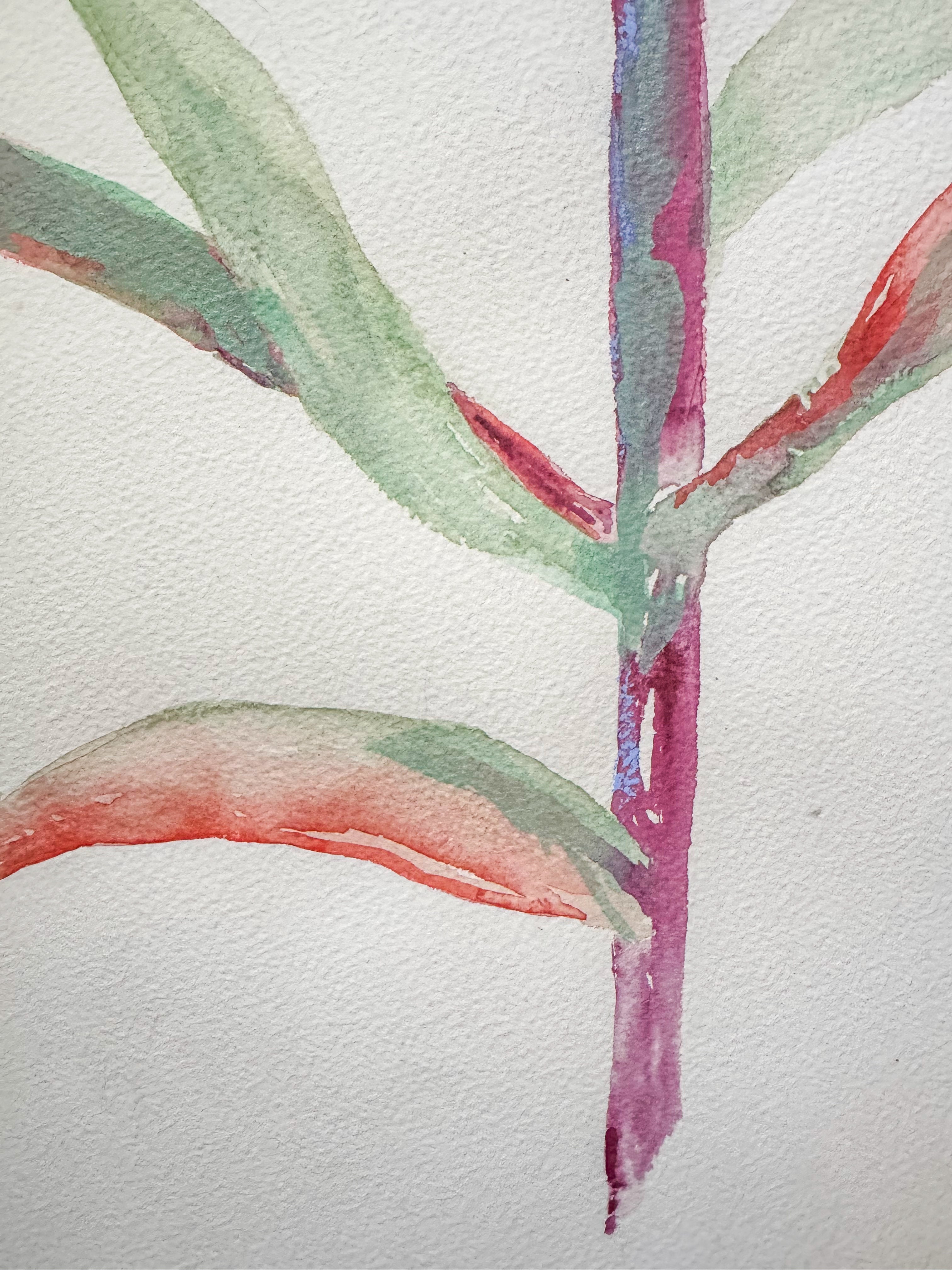Original Large Indian Paintbrush Watercolor Pastel Painting
