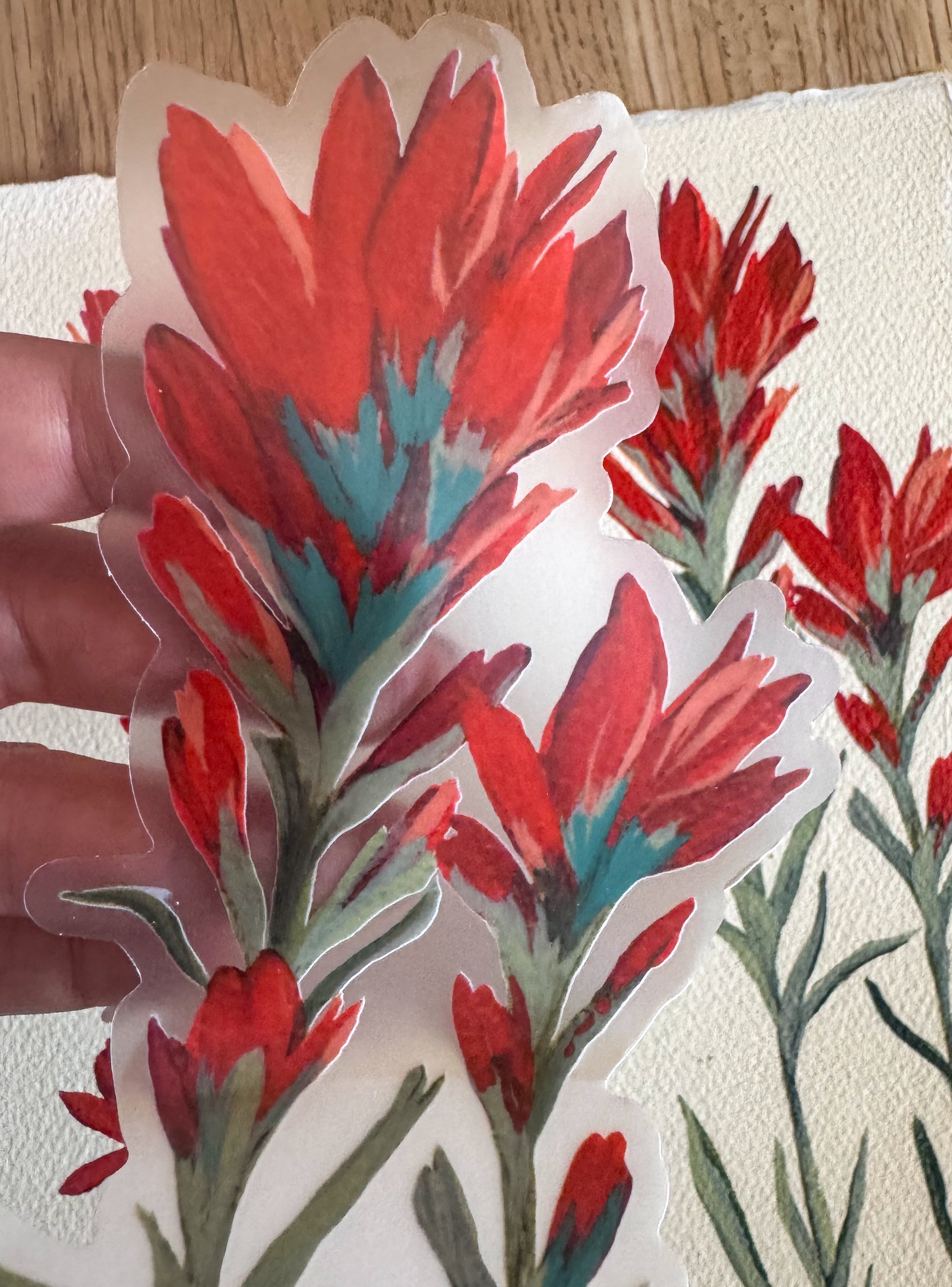 Hand Painted Indian Paintbrush Large Stickers