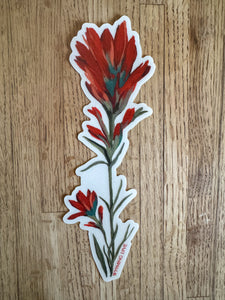Hand Painted Indian Paintbrush Large Stickers