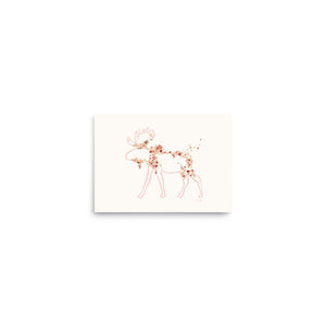 Josie - Wild Daisy Moose Print