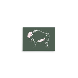 Clementine - Wild Rose Bison